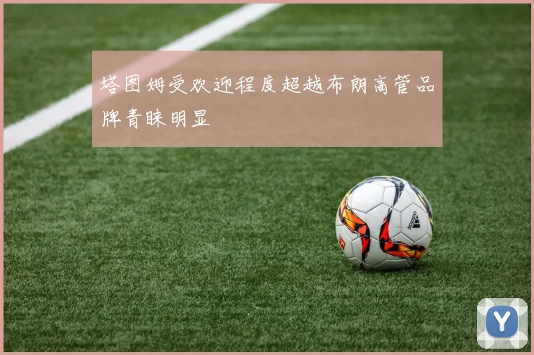 塔图姆受欢迎程度超越布朗高管品牌青睐明显