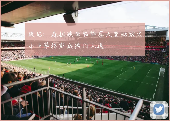 狼记：森林狼面临阵容大变动欧文小卡萨格斯成热门人选