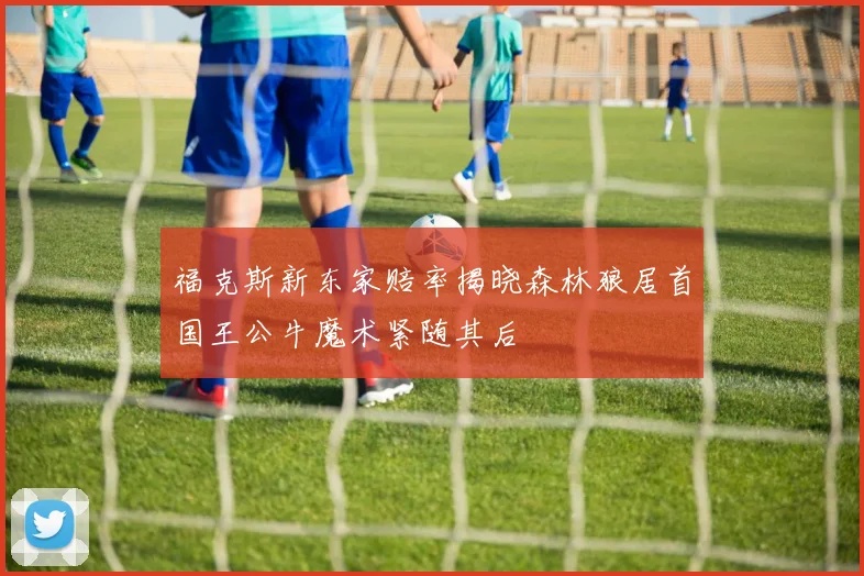 福克斯新东家赔率揭晓森林狼居首国王公牛魔术紧随其后