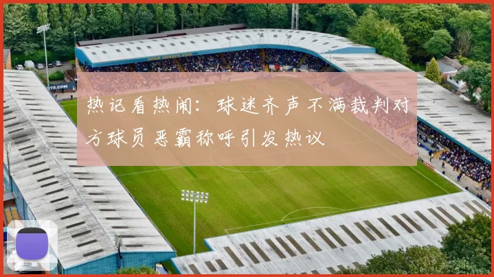 热记看热闹：球迷齐声不满裁判对方球员恶霸称呼引发热议